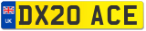 DX20 ACE