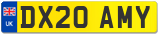 DX20 AMY