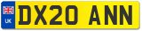 DX20 ANN