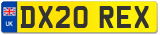 DX20 REX