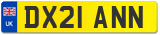 DX21 ANN