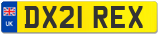 DX21 REX