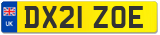 DX21 ZOE