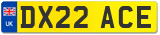 DX22 ACE