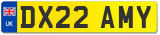 DX22 AMY