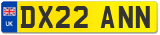 DX22 ANN