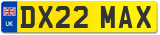 DX22 MAX