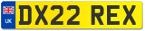 DX22 REX