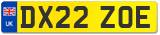 DX22 ZOE