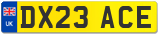 DX23 ACE