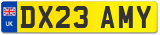 DX23 AMY