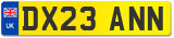 DX23 ANN