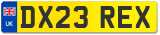 DX23 REX
