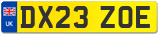 DX23 ZOE