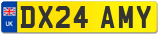 DX24 AMY