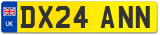 DX24 ANN