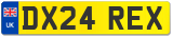 DX24 REX