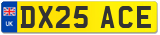 DX25 ACE