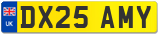 DX25 AMY