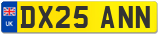 DX25 ANN