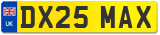 DX25 MAX