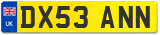 DX53 ANN