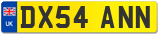 DX54 ANN