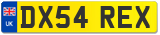 DX54 REX