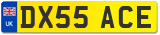 DX55 ACE