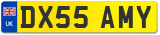 DX55 AMY