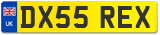 DX55 REX