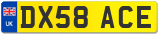 DX58 ACE