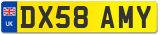 DX58 AMY