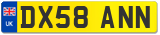 DX58 ANN