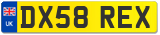 DX58 REX