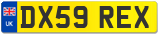 DX59 REX