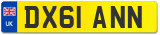 DX61 ANN