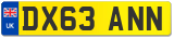 DX63 ANN