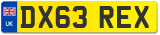 DX63 REX