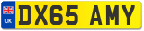 DX65 AMY