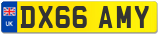 DX66 AMY