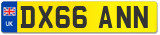 DX66 ANN