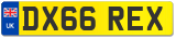 DX66 REX