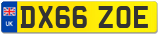 DX66 ZOE