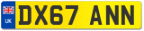 DX67 ANN