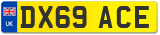 DX69 ACE