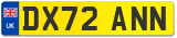 DX72 ANN