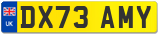DX73 AMY