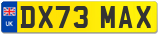 DX73 MAX