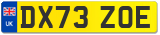 DX73 ZOE